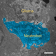 A neutrobot nestled up against a glioma tumor in a mouse brain.